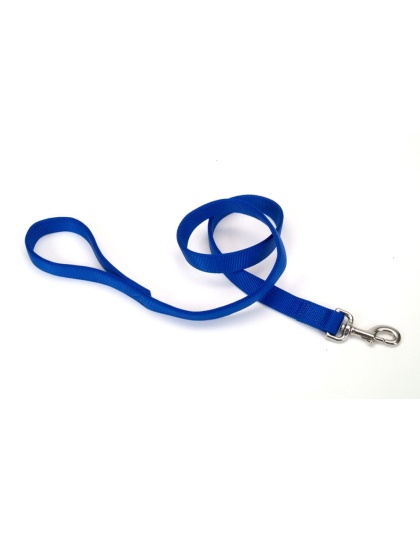 Coastal Double-Ply Nylon Dog Leash Blue 1ea/1 In X 4 ft