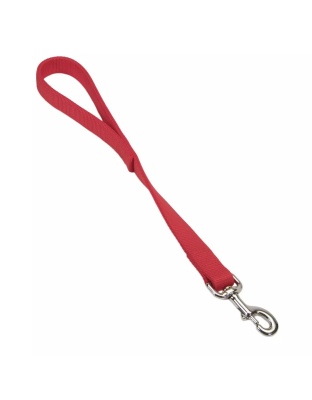 Coastal Double-Ply Nylon Traffic Dog Leash Red 1ea/1 In X 24 in
