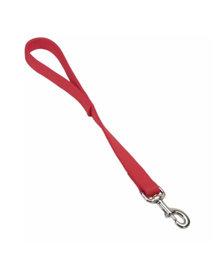 Coastal Double-Ply Nylon Traffic Dog Leash Red 1ea/1 In X 24 in