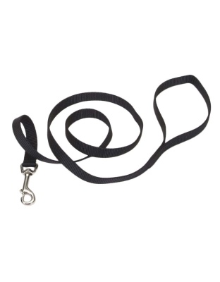 Coastal Single-Ply Nylon Dog Leash Black 1ea/5/8 In X 6 ft