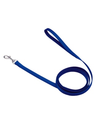Coastal Single-Ply Nylon Dog Leash Blue 1ea/5/8 In X 6 ft