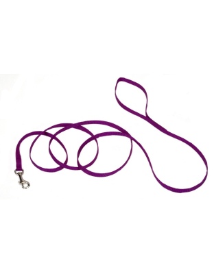 Coastal Single-Ply Nylon Dog Leash Purple 1ea/3/8 In X 6 ft