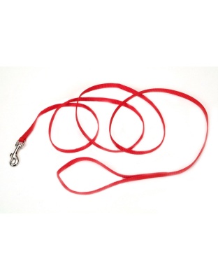 Coastal Single-Ply Nylon Dog Leash Red 1ea/3/8 In X 6 ft