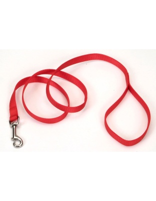 Coastal Single-Ply Nylon Dog Leash Red 1ea/5/8 In X 4 ft