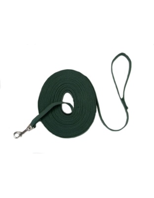 Train Right Cotton Web Training Dog Leash Green 1ea/5/8 In X 20 ft