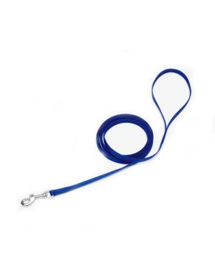 Coastal Single-Ply Nylon Dog Leash Blue 1ea/3/8 In X 4 ft