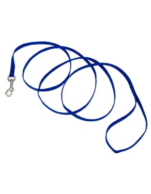 Coastal Single-Ply Nylon Dog Leash Blue 1ea/3/8 In X 6 ft