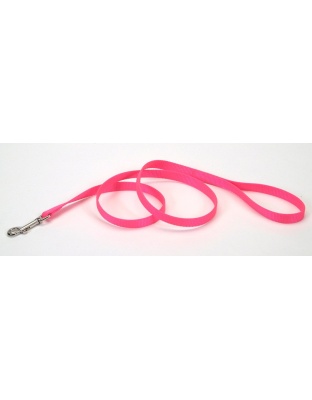 Coastal Single-Ply Nylon Dog Leash Neon Pink 1ea/5/8 In X 4 ft