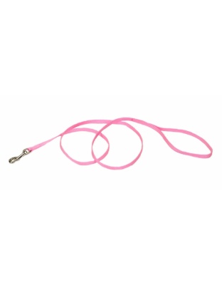 Coastal Single-Ply Nylon Dog Leash Pink Bright 1ea/3/8 In X 6 ft