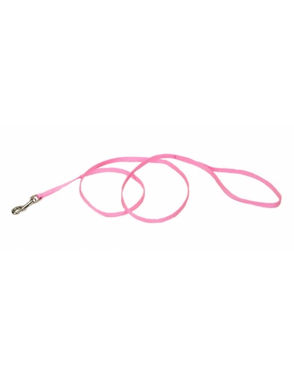Coastal Single-Ply Nylon Dog Leash Pink Bright 1ea/3/8 In X 6 ft