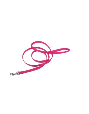 Coastal Single-Ply Nylon Dog Leash Pink Flamingo 1ea/1 In X 6 ft