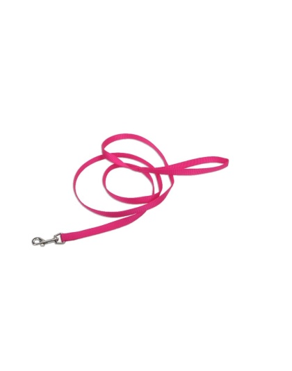 Coastal Single-Ply Nylon Dog Leash Pink Flamingo 1ea/1 In X 6 ft