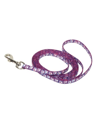 Lil Pals Patterned Dog Leash with E-Z Snap Light Blue 1ea/3/8 In X 6 ft