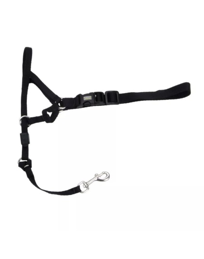 Walk 'n Train Dog Head Halter Black 1ea/LG