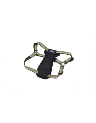Coastal K9 Explorer 5/8 Inch Padded Harness Fern Green (12-18 Inch)