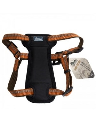 Coastal K9 Explorer 1 Inch Padded Harness Camp Fire Orange (26-38 Inch)