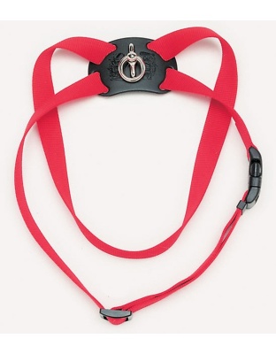 Coastal Size Right Adjustable Nylon Harness Red 1X26-38In