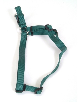 Coastal Comfort Wrap Adjustable Nylon Harness Hunter Green 3/4X20-30In