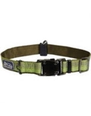 Coastal K9 Explorer 1 Inch Adj Collar Fern Green (18-26 Inch)