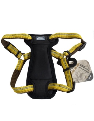 Coastal K9 Explorer 1 Inch Adj Collar Goldenrod Yellow (18-26 Inch)
