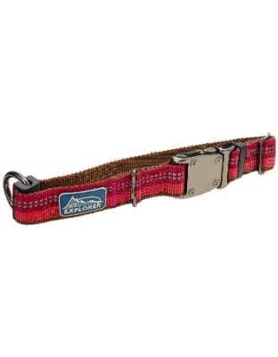 Coastal K9 Explorer 5/8 Inch Adj Collar Berry Red (8-12 Inch)