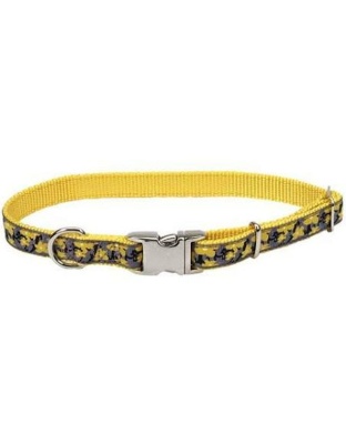 Ribbon Adjustable Nylon Dog Collar with Metal Buckle Yellow 1ea/5/8 In X 8-12 in