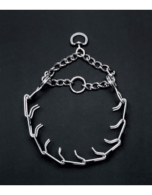 Titan Prong Training Dog Collar Nickel, Chrome 1ea/4 Mm X 22 in