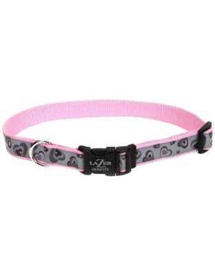 Lazer Brite Reflective Adjustable Dog Collar Turquoise 1ea/5/8 In X 12-18 in