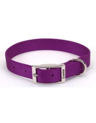 Coastal Single-Ply Nylon Collar Purple 3/4X16In