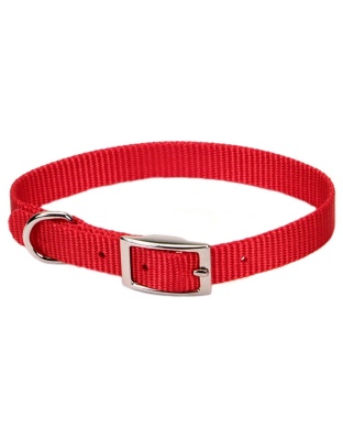Coastal Single-Ply Nylon Collar Red 3/8X12In