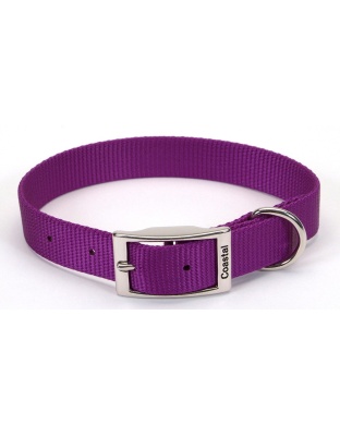 Coastal Single-Ply Nylon Dog Collar Purple 1ea/3/4 In X 18 in