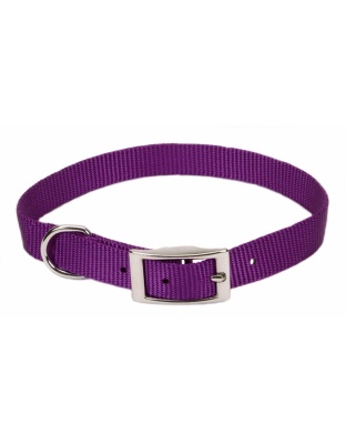 Coastal Single-Ply Nylon Dog Collar Purple 1ea/5/8 In X 12 in