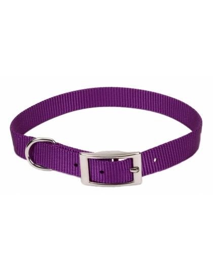 Coastal Single-Ply Nylon Dog Collar Purple 1ea/5/8 In X 14 in