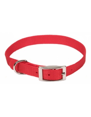 Coastal Single-Ply Nylon Dog Collar Red 1ea/5/8 In X 14 in