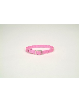 Coastal Single-Ply Nylon Collar Bright Pink 3/4X16In