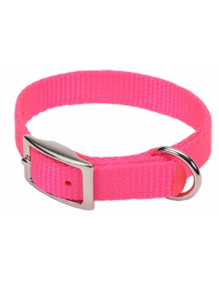 Coastal Single-Ply Nylon Dog Collar Neon Pink 1ea/5/8 In X 14 in