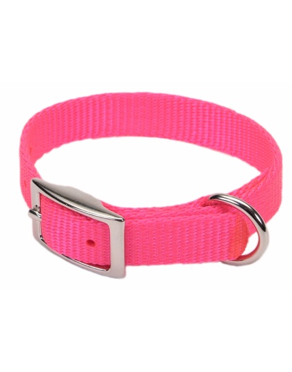 Coastal Single-Ply Nylon Dog Collar Neon Pink 1ea/5/8 In X 14 in