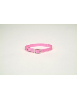 Coastal Single-Ply Nylon Dog Collar Pink Bright 1ea/3/4 In X 18 in