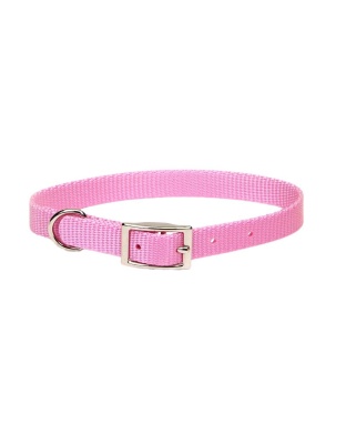 Coastal Single-Ply Nylon Dog Collar Pink Bright 1ea/5/8 In X 12 in