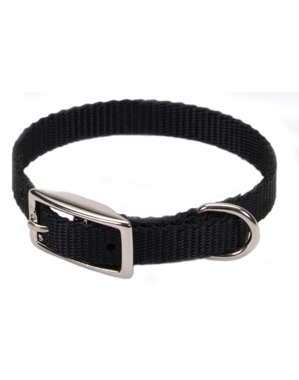 Coastal Single-Ply Nylon Collar Black 3/8X10In