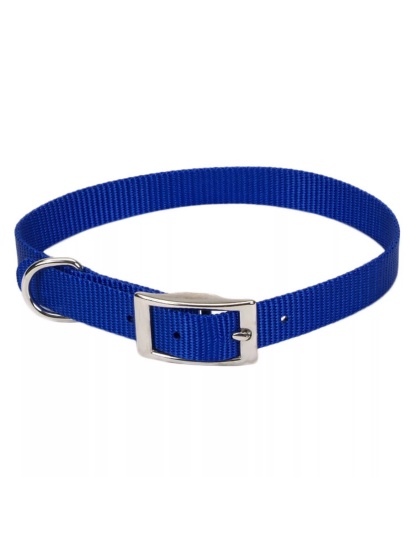 Coastal Single-Ply Nylon Collar Blue 1X22In