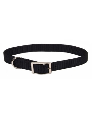 Coastal Single-Ply Nylon Dog Collar Black 1ea/5/8 In X 12 in