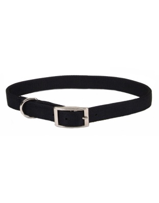 Coastal Single-Ply Nylon Dog Collar Black 1ea/5/8 In X 14 in