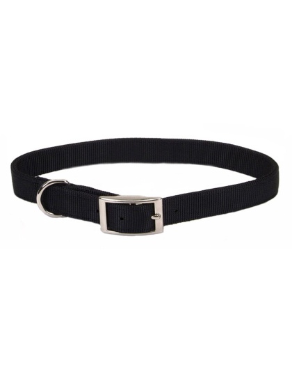 Coastal Single-Ply Nylon Dog Collar Black 1ea/5/8 In X 16 in