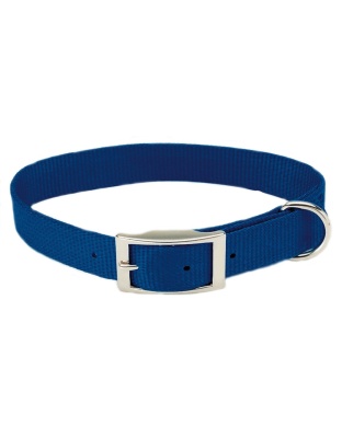 Coastal Single-Ply Nylon Dog Collar Blue 1ea/3/4 In X 16 in