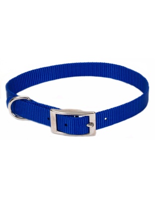 Coastal Single-Ply Nylon Dog Collar Blue 1ea/5/8 In X 14 in