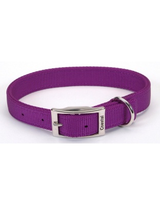 Coastal Double-Ply Nylon Dog Collar Purple 1ea/1 In X 20 in