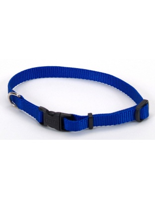 Coastal Adjustable Nylon Dog Collar with Plastic Buckle Blue 1ea/3/8 In X 8-12 in