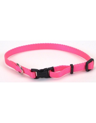 Coastal Adjustable Nylon Dog Collar with Plastic Buckle Neon Pink 1ea/3/8 In X 8-12 in