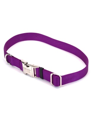 Coastal Adjustable Nylon Collar With Coastal Titan Metal Buckle Purple 1X18-26In